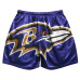 Шорты Baltimore Ravens Chalk Line Purple Big Logo Retro