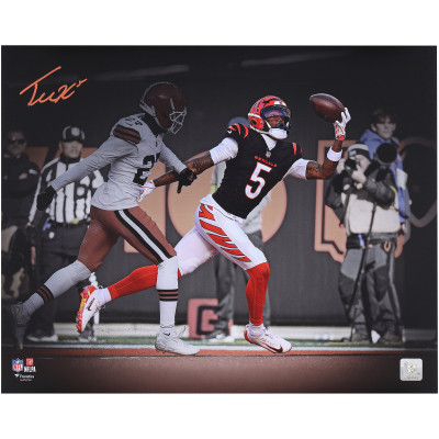 Фото с автографом Tee Higgins Cincinnati Bengals Fanatics Authentic 16 x 20 One-Handed Catch Spotlight