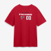 Именная футболка Atlanta Falcons Red Touchdown Wordmark Name & Number