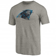 Футболка Carolina Panthers Ash Distressed Team
