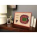 Atlanta Falcons 14 x 10.5 3D StadiumViews Desktop Display