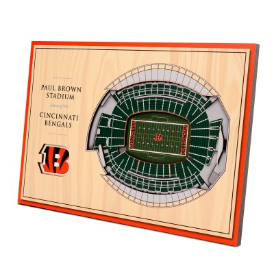 Cincinnati Bengals 14 x 10.5 3D StadiumViews Desktop Display