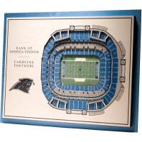 Carolina Panthers 17 x 13 5-Layer StadiumViews 3D Wall Art