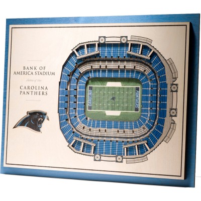 Carolina Panthers 17 x 13 5-Layer StadiumViews 3D Wall Art