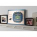 Carolina Panthers 17 x 13 5-Layer StadiumViews 3D Wall Art