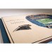 Carolina Panthers 17 x 13 5-Layer StadiumViews 3D Wall Art
