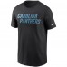 Футболка Carolina Panthers Nike Team Wordmark - Black