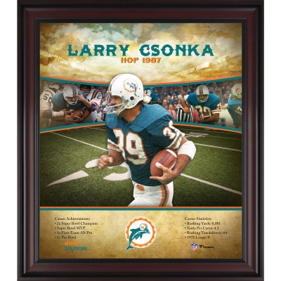 Miami Dolphins Larry Csonka Fanatics Authentic Framed 15 x 17 Hall of Fame Career Profile
