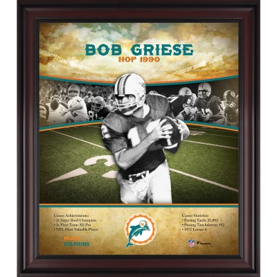 Miami Dolphins Bob Griese Fanatics Authentic Framed 15 x 17 Hall of Fame Career Profile