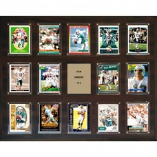 Miami Dolphins Dan Marino 16 x 20 Plaque
