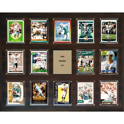 Miami Dolphins Dan Marino 16 x 20 Plaque