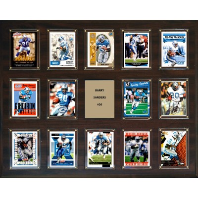 Detroit Lions Barry Sanders 16 x 20 Plaque