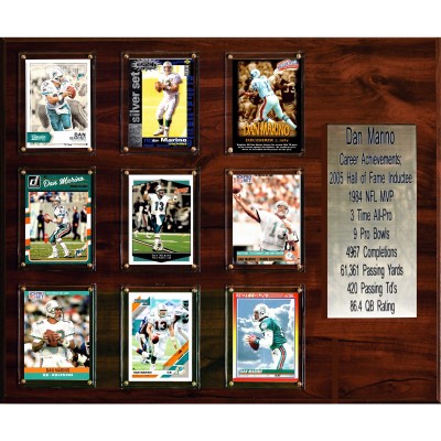 Miami Dolphins Dan Marino 15 x 18 Plaque