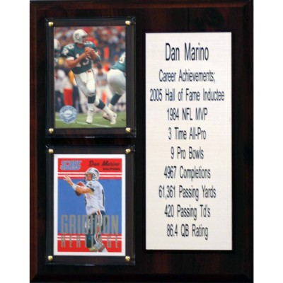 Miami Dolphins Dan Marino 8 x 10 Plaque