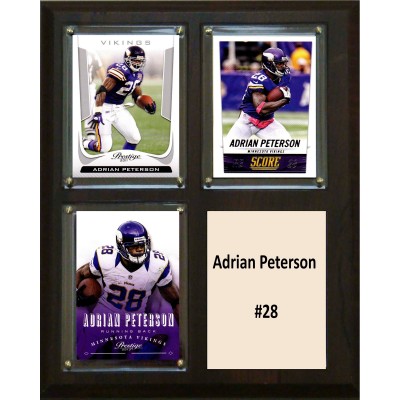Minnesota Vikings Adrian Peterson 8 x 10 Plaque