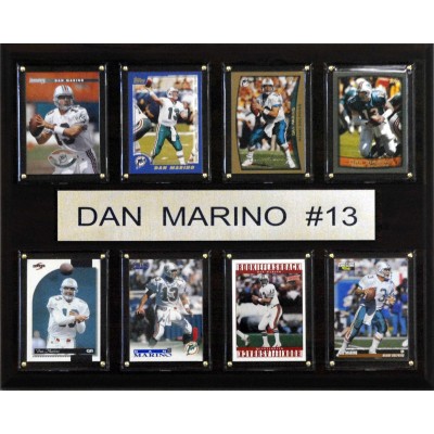 Miami Dolphins Dan Marino 12 x 15 Plaque