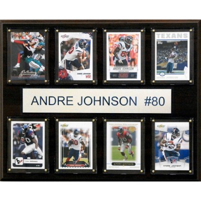 Houston Texans Andre Johnson 12 x 15 Plaque