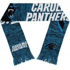 Шарф Carolina Panthers FOCO Wordmark