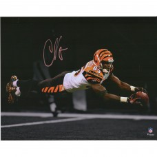 Autographed Cincinnati Bengals Chad Johnson Fanatics Authentic 11 x 14 Diving Spotlight Photograph