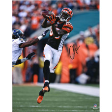 Фото с автографом Cincinnati Bengals Chad Johnson Fanatics Authentic 16 x 20 Black Jersey Making Catch Фото с автографом Cincinnati Bengals Chad Johnson Fanatics Authentic 16 x 20 Black Jersey Making Catch