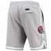 Шорты Tampa Bay Buccaneers Pro Standard Core - Gray