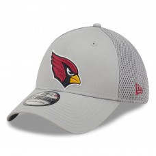 Бейсболка Arizona Cardinals New Era Team Neo 39THIRTY - Gray
