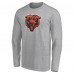 Именная футболка Chicago Bears Team Authentic - Gray