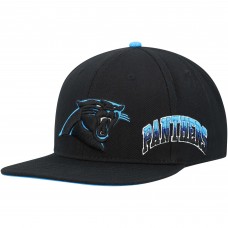Бейсболка Carolina Panthers Pro Standard Hometown - Blue