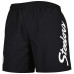 Шорты Pittsburgh Steelers Mitchell & Ness Black Team Essentials Nylon