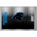Carolina Panthers Team Logo 24oz. Personalized Jr. Thirst Water Bottle
