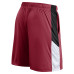 Шорты Atlanta Falcons Fanatics Red Primary Logo