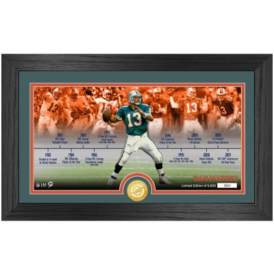 Miami Dolphins Dan Marino Highland Mint 12 x 20 Timeline Pano Photo Mint