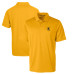 Поло Pittsburgh Steelers Cutter & Buck Gold Throwback Logo Prospect Textured Stretch Поло Pittsburgh Steelers Cutter & Buck Gold Throwback Logo Prospect Textured Stretch
