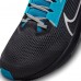 Carolina Panthers Nike Unisex Zoom Pegasus 40 Running Shoe - Anthracite