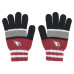 Женская Шарф Arizona Cardinals WEAR by Erin Andrews Stripe Glove & Set